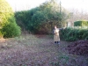 Liesbeth's tuin